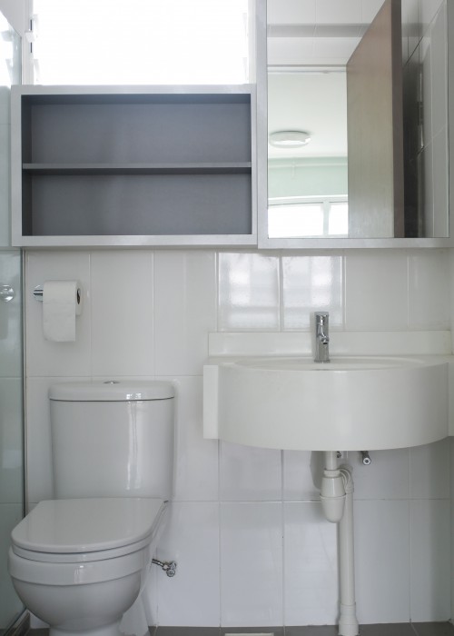 toilet