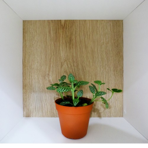 image11